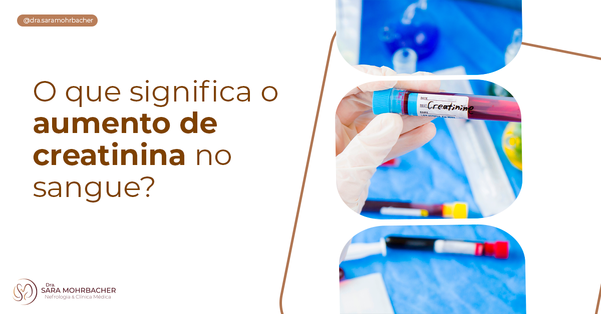 O que significa o aumento de creatinina no sangue? Dra. Sara Mohrbacher