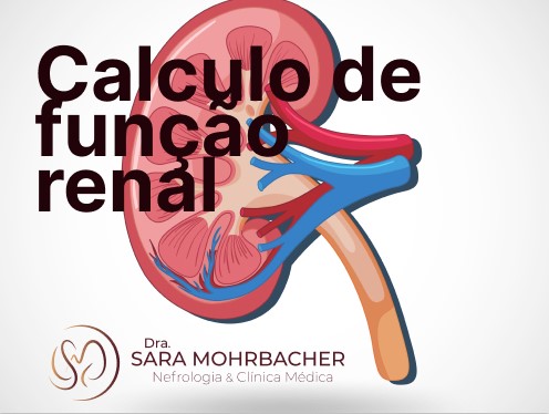 Imagem ilustrativa calculo de função renal