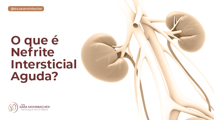 A imagem ilustra um rim ligado as veias e a aorta