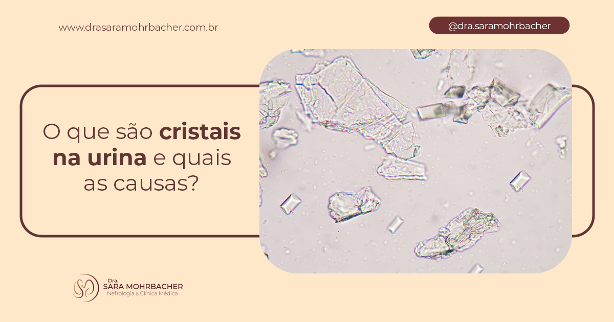 O que são cristais na urina e quais as causas? - Dra. Sara Mohrbacher