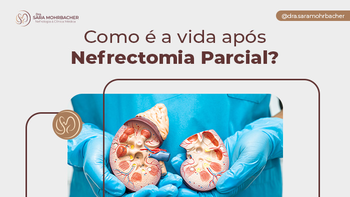 Profissional de saúde com luvas e jaleco azul segurando um modelo anatômico de rins humanos cortados ao meio, ilustrando a anatomia renal.