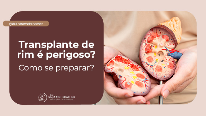 Pessoa segurando um modelo anatômico de rim humano seccionado, mostrando estruturas internas como vasos, néfrons e glândula suprarrenal.