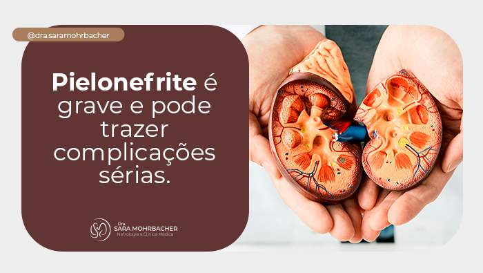 Modelo anatômico de rins humanos em mãos, destacando detalhes internos da estrutura renal.
