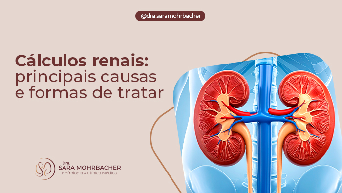Ilustração médica dos rins com detalhes das artérias, veias e vias urinárias, destacando a anatomia renal em vista frontal.