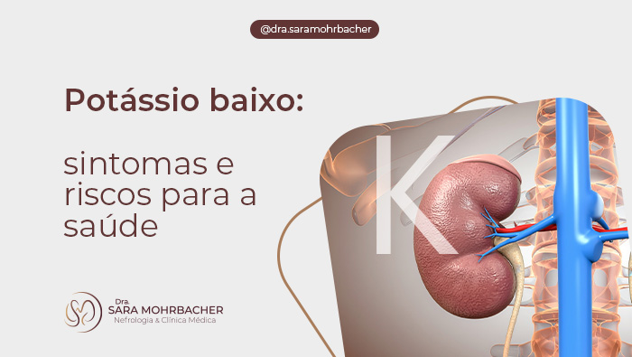 Potássio baixo: sintomas e riscos para a saúde 1 Ilustração anatômica de rim humano com vasos sanguíneos destacados, ao lado da coluna vertebral, representando a função renal.
