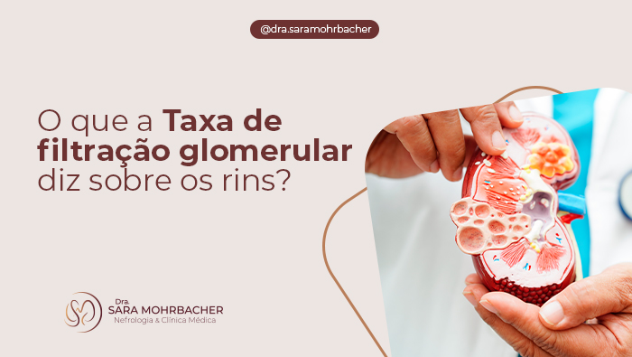 O que a Taxa de filtração glomerular diz sobre os rins? 1 Profissional de saúde segura modelo anatômico de rim humano, destacando estruturas internas em demonstração educativa.