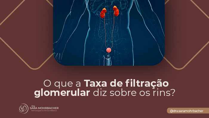 O que a taxa de filtração glomerular diz sobre os rins? 1 Ilustração anatômica do sistema urinário masculino, destacando rins, ureteres e bexiga em tons vermelhos sobre corpo azul.